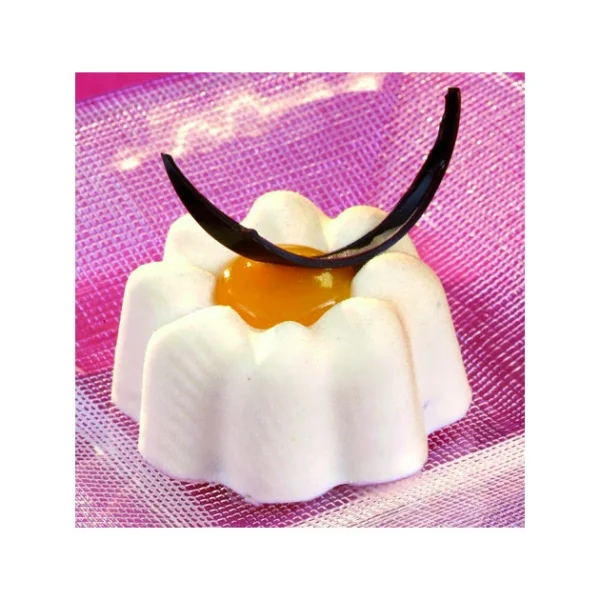 Bavarois 8 Côtés Flexipan – Moule Silicone 1