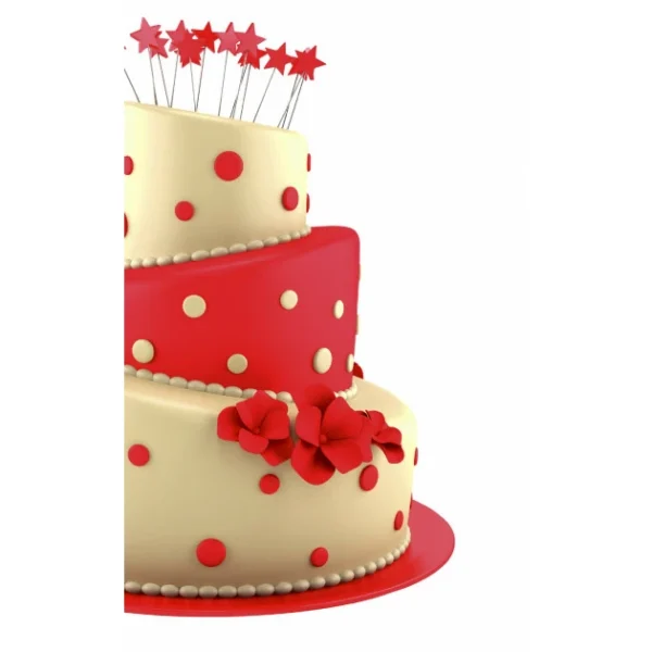 Moule à Gâteau Rond Incliné Ø 17,5 Cm X H 10 Cm Ibili 3