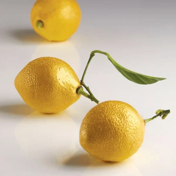 Moule Silicone 8 Citrons 85 Ml Cédric Grolet Pavoni 1