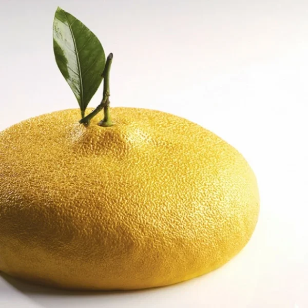 Moule Silicone Citron 1215 Ml Cédric Grolet Pavoni 1